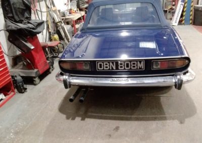 Hallet Stag - 1 - AM Restorations (UK) Ltd