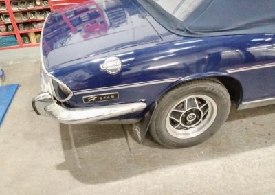 Hallet Stag - 2 - AM Restorations (UK) Ltd
